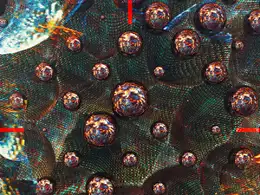 C4D实用工程第8季：科幻圆球创意C4D工程文件 c4d project