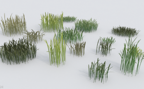 13组草束C4D模型 Grass bundle including 13 different models