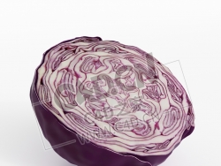 切开的紫甘蓝蔬菜C4D模型 Purple cabbage