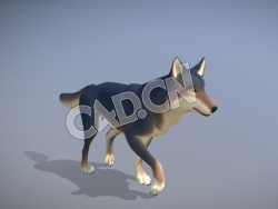 C4D行走的狼绑定动画模型 Wolf