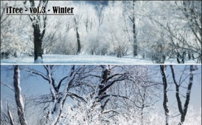 冬季树木3D模型合集 R/D Group – iTrees vol.3 Winter