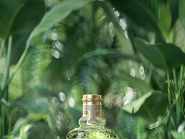 植物丛中的香水女性化妆品产品C4D模型