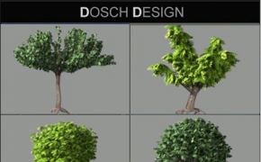 景观树木3D模型合集 Trees / Conifers [CD1]