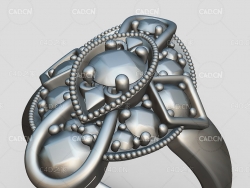 花形镶钻宝石戒指C4D模型 Dolgin GoodallFinal