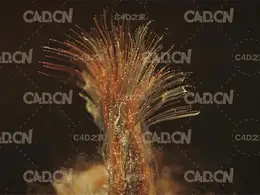 C4D x-particles粒子动画工程（Cycles 4D渲染）
