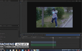 20161月1日作品：龟派气功特效