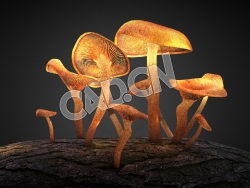 C4D树上的蘑菇模型 Mushroom on Tree_Baked Lighting Map