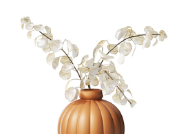 01号气球花瓶配月季Louise Roe品牌花瓶3D模型素材下载Balloon Vase 01 with Lunaria b