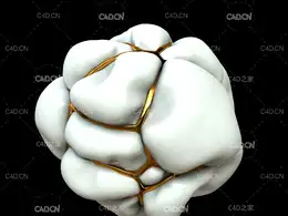 C4D布料勒紧动画工程 Voronoi Fracture Cloth