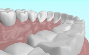 c4d 牙齿模型