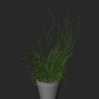 绿色盆景植物C4D模型 Bonsai plants 0112