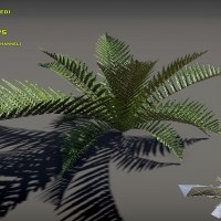 植物3D模型：Free Fern Pack V2