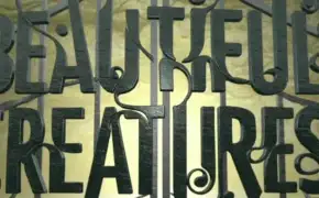 C4D电影Beautiful Creatures美丽生灵片头制作 (含工程)
