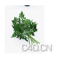 C4D蔬菜模型-香菜3D模型 Parsley