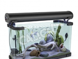 大型水族箱观赏鱼缸C4D模型