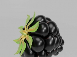 超高精度黑莓水果三维模型含完整贴图材质包.blend.c4d.obj多格式可下载适用影视游戏场景Blackberry c4d model