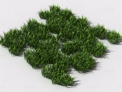 野草植物C4D模型 pattern_wild-grass-12