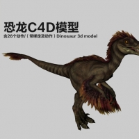 长羽毛的恐龙C4D模型 含26个动作（带绑定及动作）Dinosaur 3d model-raptorFeathered