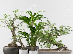 5盆绿植盆景植物模型办公室盆栽书房绿植装饰模型