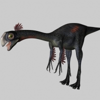 恐龙C4D模型：巨盗龙 Gigantoraptor