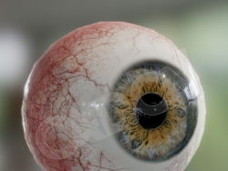 人眼珠眼球C4D模型 eye