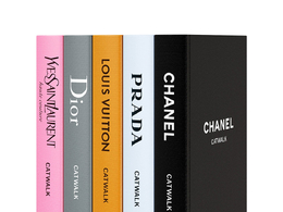 泰晤士与哈德森猫步书籍系列3D模型素材下载Catwalk Book Collection by Thames & Huds