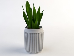 室内装饰植物C4D模型(12) Interior plants 3d model