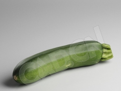 C4D一根长西葫芦夏南瓜蔬菜模型 Zucchini