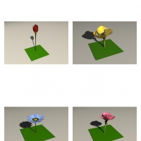 单株花卉C4D模型 Park Flowers 3D model