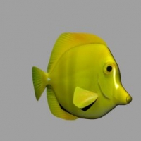 热带鱼3D模型 Poisson jaune - Yellow fish