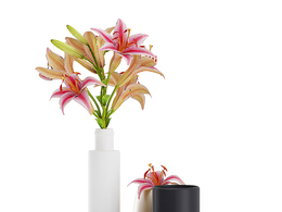 鲜花托盘百合花c4d模型下载