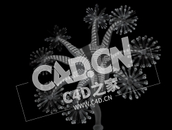 C4D海洋生物水母模型 Stalked Jellyfish (Stauromedusae)