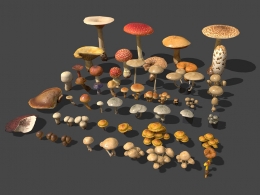 超高精度仿真食用菌蘑菇灵芝3D模型资源包含动画贴图支持多平台格式下载mushroom-pack