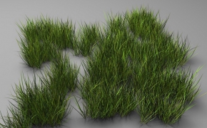 草丛C4D模型 The grass 3D model