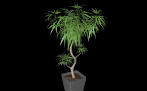 椅子模型