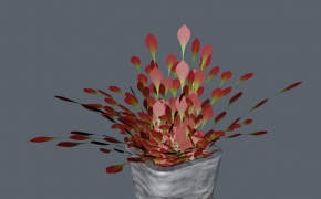 盆景植物C4D模型