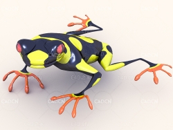 树蛙树蟾C4D模型Tree frog