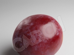 C4D李子模型 Plum