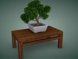 盆景树木C4D模型 bonsai tree