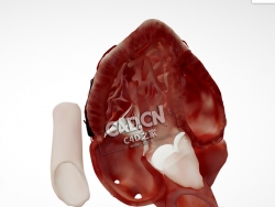 心脏解剖心尖三腔切面C4D模型下载 Cardiac Anatomy-Apical 3 Chamber Echo Plane