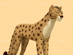 卡通豹子模型 leopard 豹子3d模型
