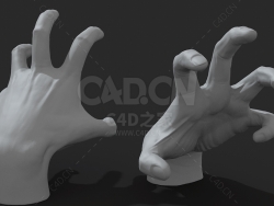 张开的手 Hand anatomy
