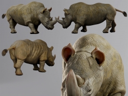 超写实犀牛动物角色三维模型带UV贴图支持C4D/Blender/OBJ格式素材源文件Rhinoceros Rhino