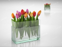 郁金香花束 tulip bouquet