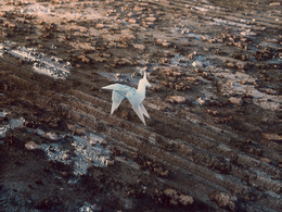 C4D Octane独角兽折纸渲染模型 bladerunner unicorn