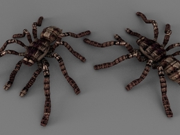 狼蛛C4D模型 Tarantula 3d model