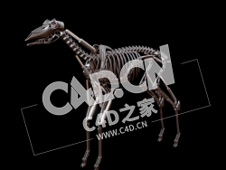 C4D机械鹿骨架模型 Test - Mechanical deer