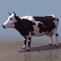 奶牛3D模型 cow 3dmodel