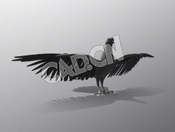 C4D鸽子模型 Game Asset Pegion