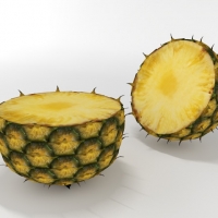 菠萝C4D模型 pineapple slice